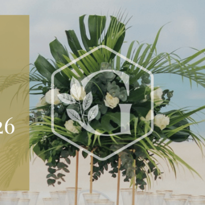 Top Destination Wedding Locations for 2026